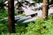 Photo: Moose Near Canoes at Russell Pond (1996)
