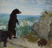 Bear exhibit, State House in Augusta