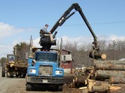 Unloading Logs From Truck to Sawmill