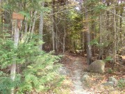 The Trail from Pierce Pond