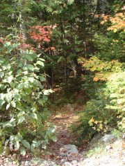 The Trail to the Kennebec
