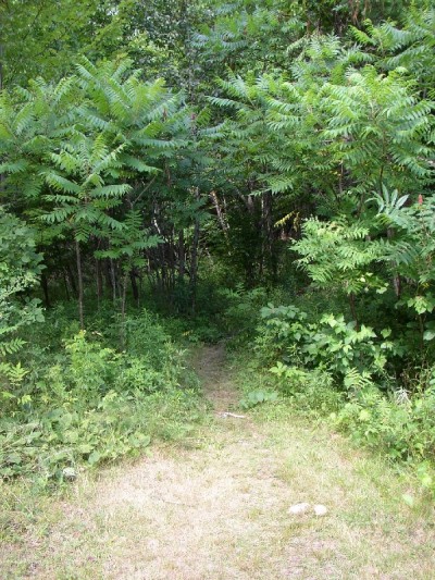 Path to AT Trail North from Caratunk (2007)