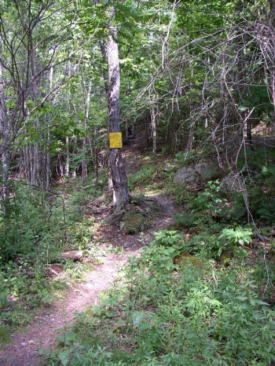 AT Trail North from Caratunk (2007)