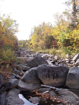 South Branch of the Carrabassett River