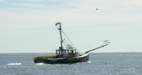 Laying Lobster Traps with a Boat also Rigged for Fishing (2004)