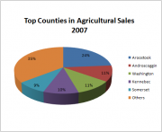 Top Counties in Agricultural Sales 2007