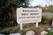 Whaleback Shell Midden Sign (2002)