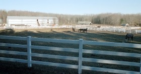Horses in Small Fields Near a Barn (2003)