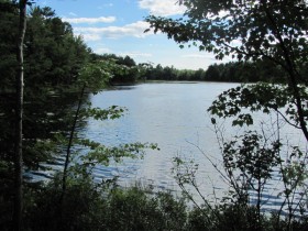 View from an island in Dresden Bog toward the southwestern shore (2010)
