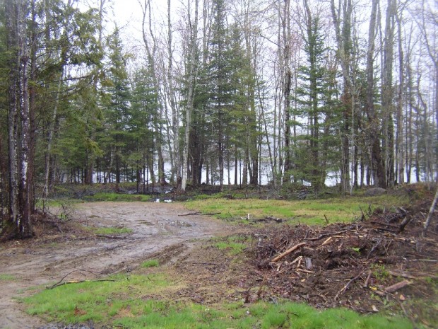One of Several Lots Cleared Along the Penobscot River (2005)