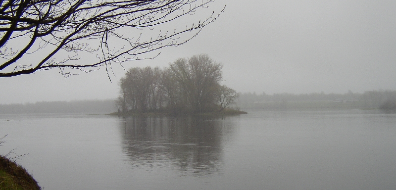 Island in the Penobscot River Near Edinburg (2005)