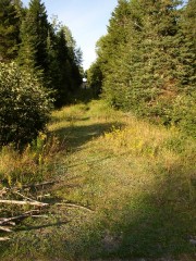 The Trail in the Edmunds Division, Moosehorn Refuge (2004)