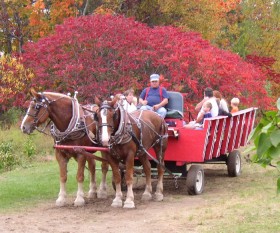 Cart Rides at the Apple Farm (2003)