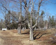Flying Point Cemetery (2010)