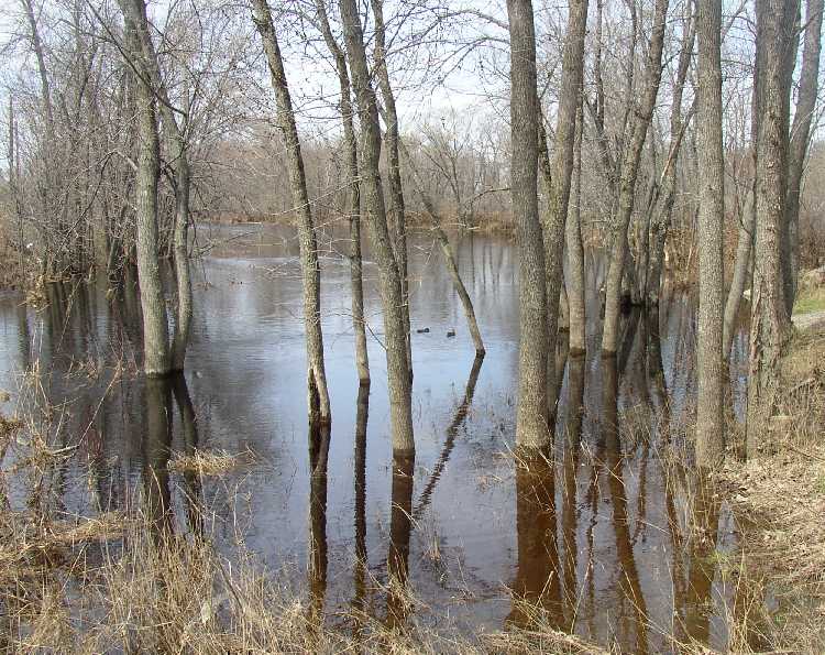 Sunkhaze Stream near U.S. Route 2 (2005)