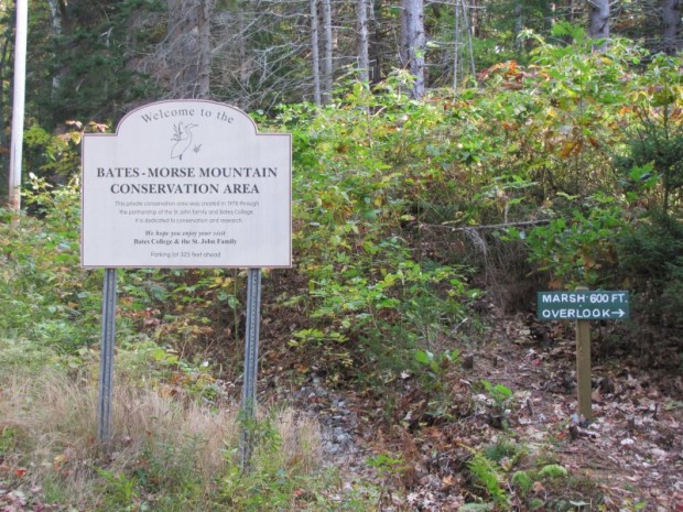 Sign Welcoming Visitors (2010)