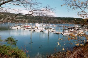 Northeast Harbor (2001)