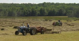 Harvestng Hay in Vassalboro (2003)