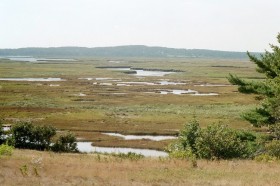 Scarborough Marsh (2002)