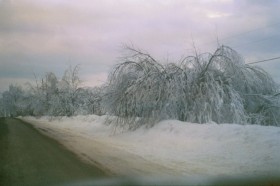 Ice Storm, 1998, in Sherman