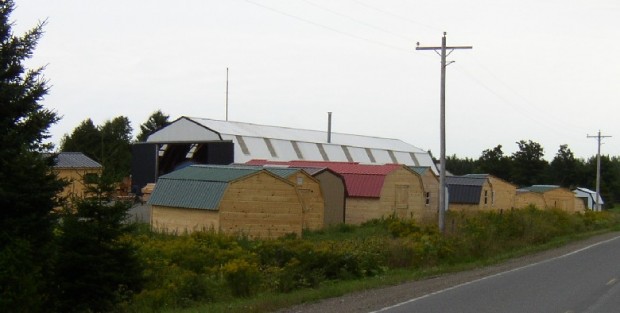 Sturdi-Built Sheds on the County Road in Smyrna (2003)