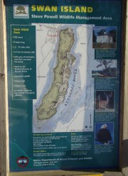 Swan Island Information Poster (2008)
