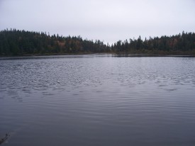 Swift River Pond