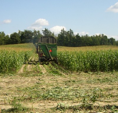 Harvesting Corn in Vassalboro (2003)