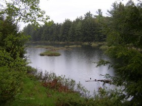 Muddy Pond on Route 105 (2003)