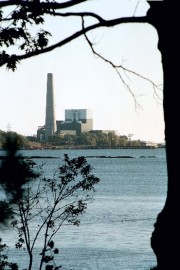 Cousin's Island Florida Power and Light Generating Station (2002)